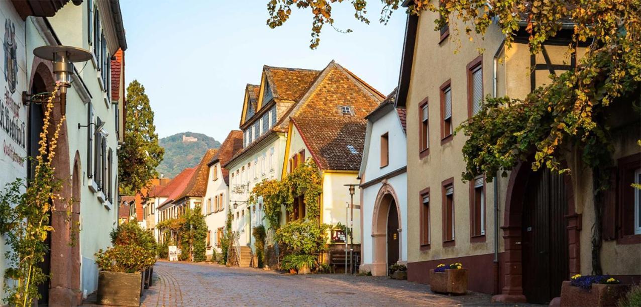 Hotel Rhodter Adler Rhodt unter Rietburg Exterior photo